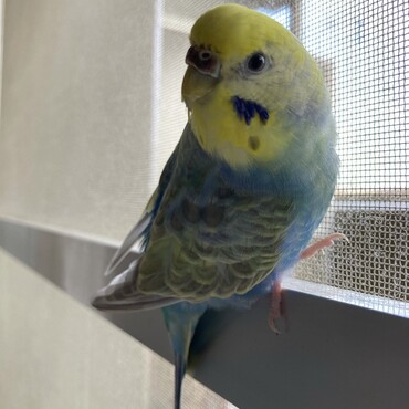の写真