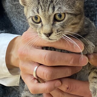 しおん♡しあわせにゃんこになりました