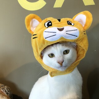 優しさの塊『菅田』