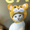 優しさの塊『菅田』 サムネイル1