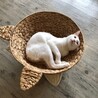 優しさの塊『菅田』 サムネイル7