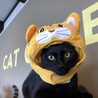 マシュマロボディの黒猫『ちょこら』 サムネイル5