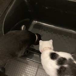 「やってきたね、２０２２！よろしくね！」サムネイル3