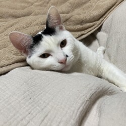 「やってきたね、２０２２！よろしくね！」サムネイル2