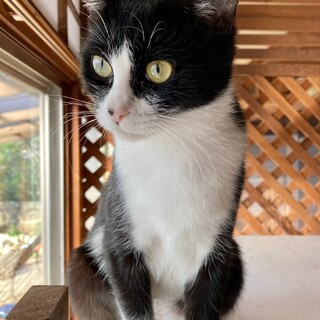 ♦穏かな女の子♦