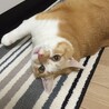 Ryuryさん