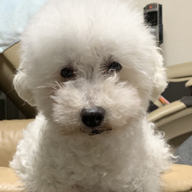 charerunのカバー写真