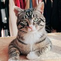 美男子キキくん
