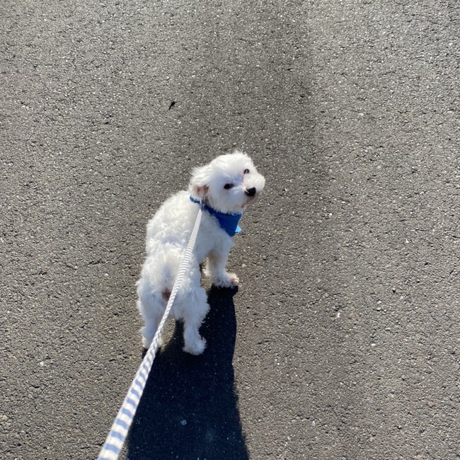 のむうのカバー写真