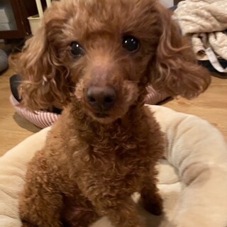 元気いっぱいのアキちゃん