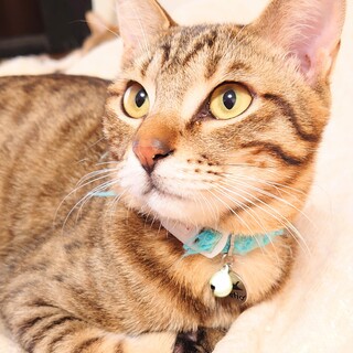 【募集一旦停止】イケメン☆洋次郎