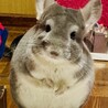 おっとりした優しく性格です。