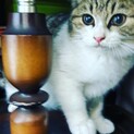 まんまるお目めの、さんちゃん