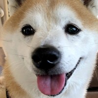 類