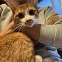 生後8ヶ月のビビりな男の子♪