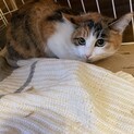 生後8ヶ月の美人な小さい女の子♪