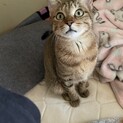 引っ越しの為…