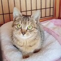 1/16西千葉ෆ⃛か...可愛過ぎるෆ⃛愛ちゃん