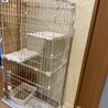 猫用ケージ