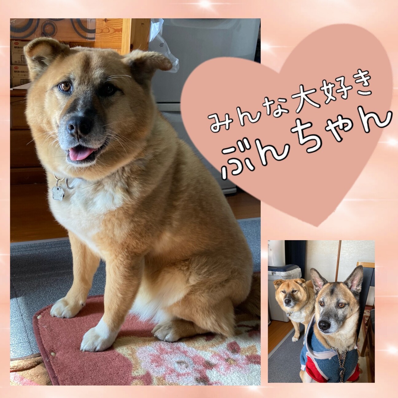♥ぶんちゃん様♥ 覗か