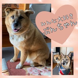 みんな大好き、ぶんちゃん