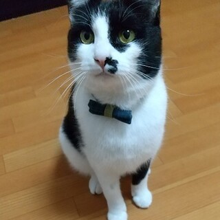 アギアギ大好き八兵衛