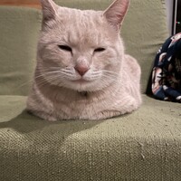 ホクト