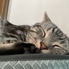 はわ