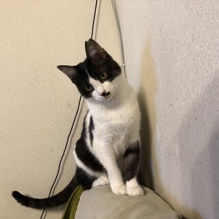 甘ったれ女子