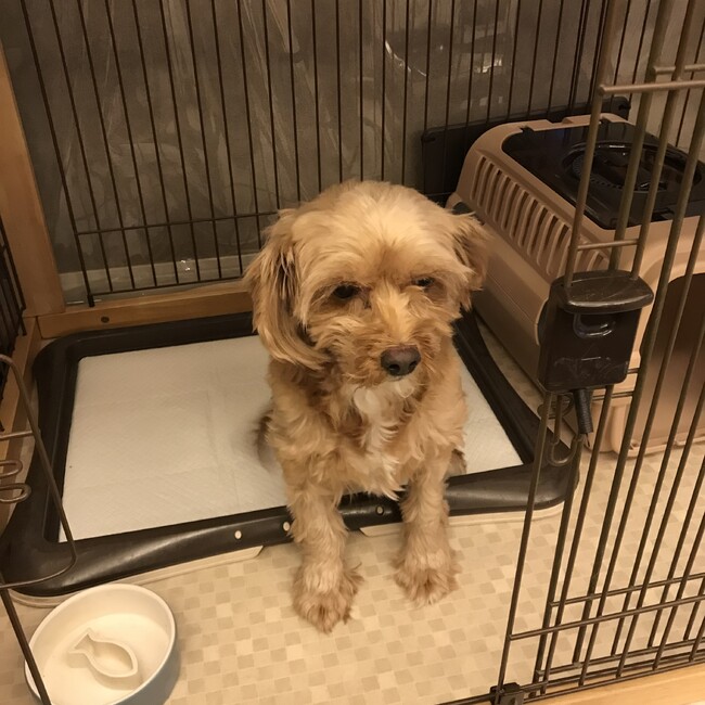 マリン5のカバー写真