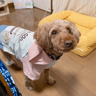 ハンデがあっても元気いっぱいの女の子、ハナ♬.*ﾟ