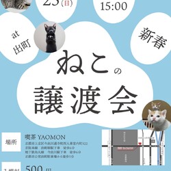 京都　ねこの譲渡会