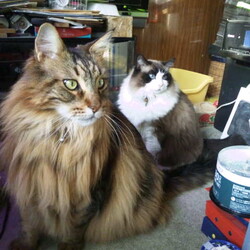 「そこはあたしの場所！」サムネイル2