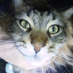 「そこはあたしの場所！」サムネイル3