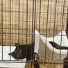 ふてくされ中