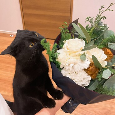 ふんふん…
