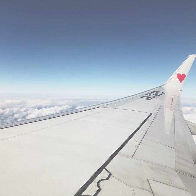 sh______ma0419のカバー写真