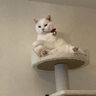 の写真