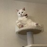 の写真