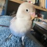 ぽつはぐ