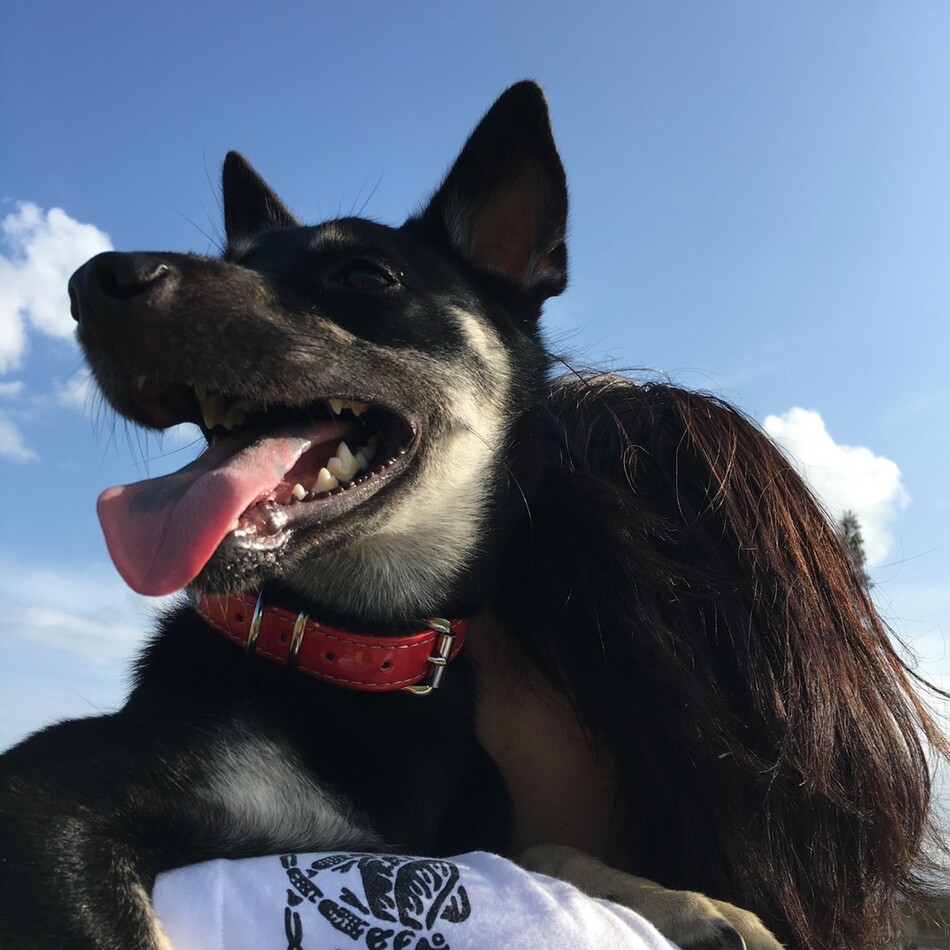 ムラタのカバー写真