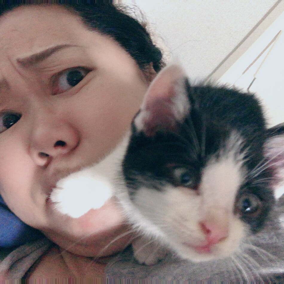 ネコタのカバー写真