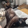 日向ぼっこ