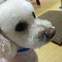 いち