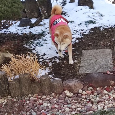 夜中の津波警報⊙.☉びっくりしたね!!!!　