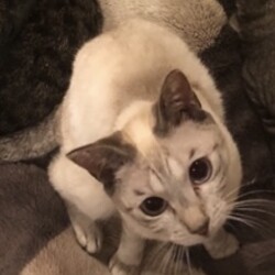 プチ嫌がらせ( ¯•ω•¯ )