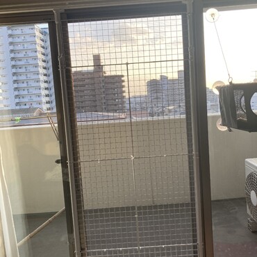の写真