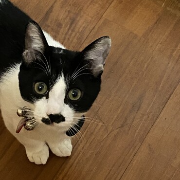 の写真