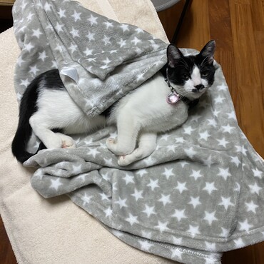 の写真