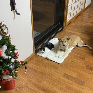 の写真